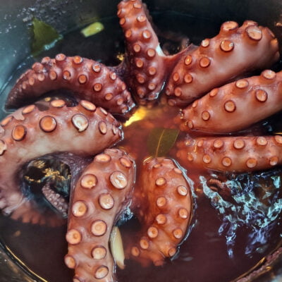 Oktopus (Pulpo)