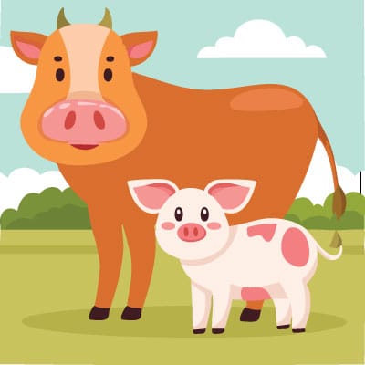 Fleisch