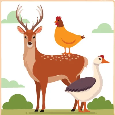 Wild und Geflügel