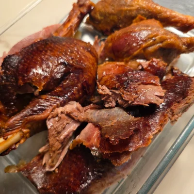 Gans – ganz einfach